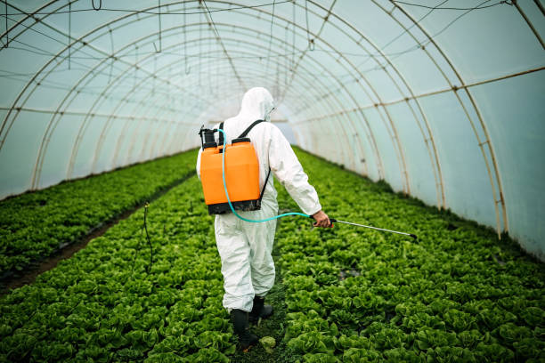 Reliable West Point, MS Pest Control Solutions
