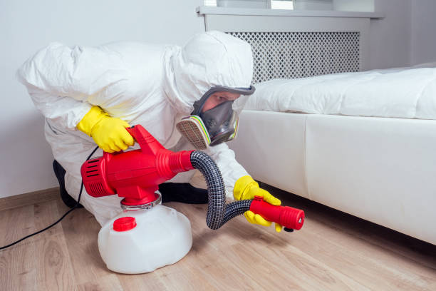 Best Termite Control Services  in West Point, MS