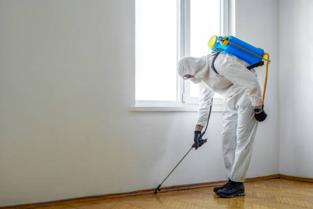 Best Pest Removal Services  in West Point, MS
