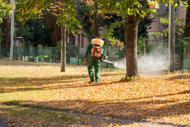 Best Residential Pest Control  in West Point, MS