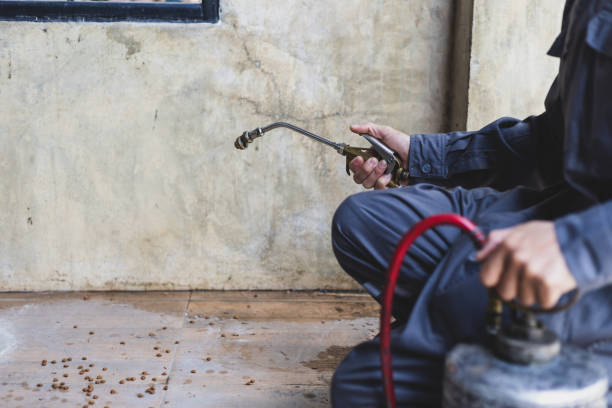 Best Emergency Pest Control  in West Point, MS